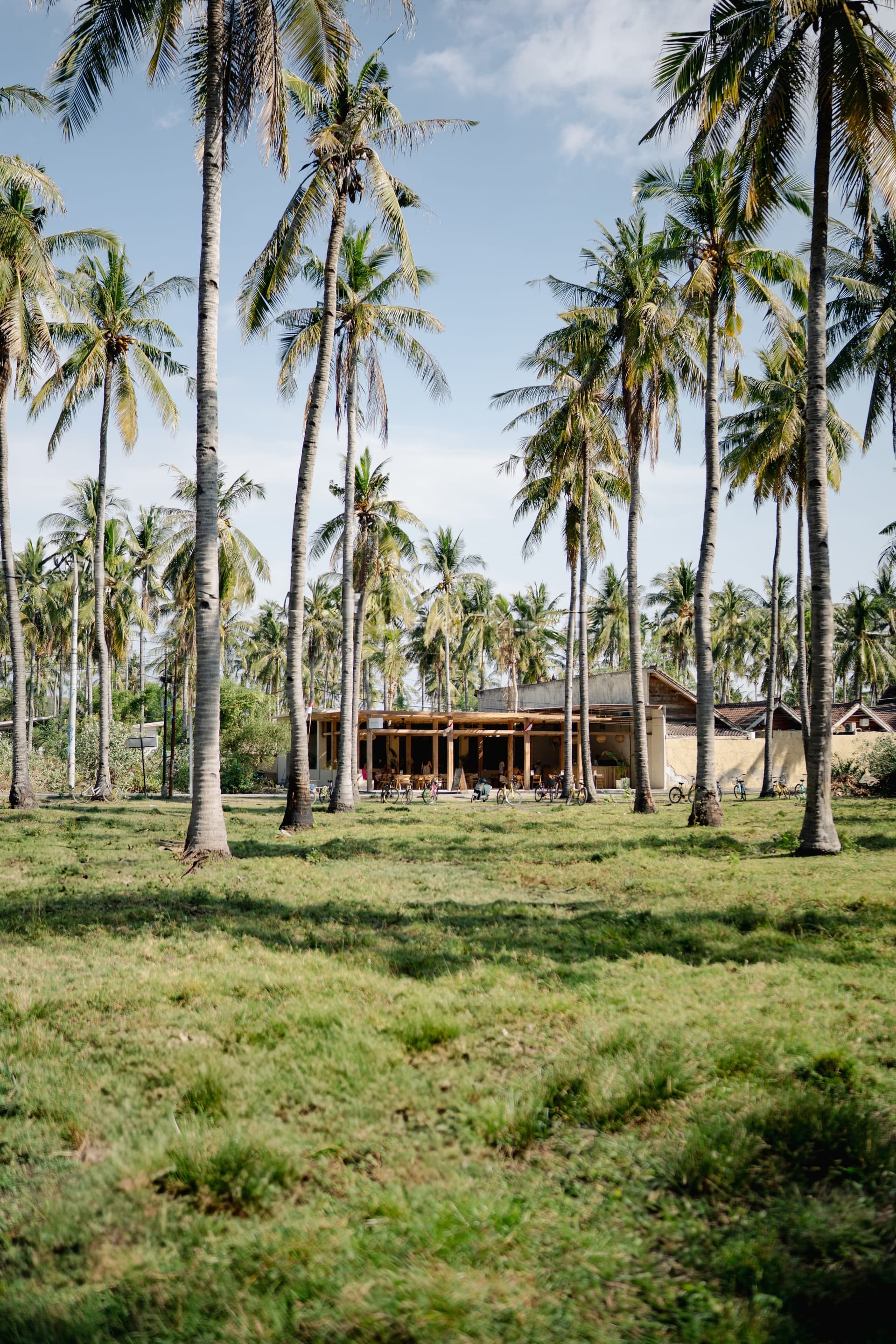 Amsterdam Gili coconut garden by day